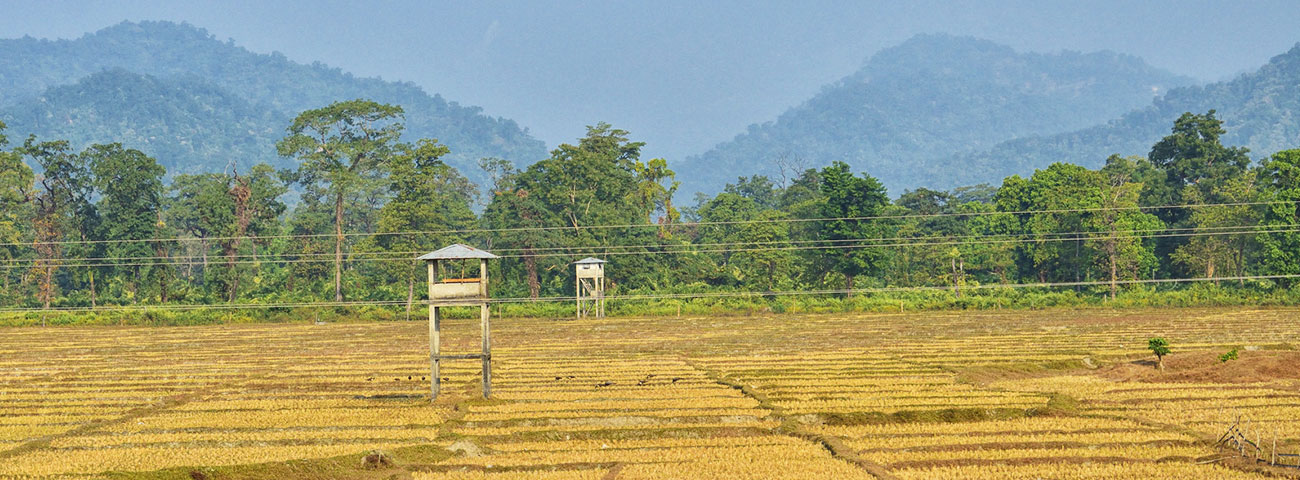 Jaldapara National Park