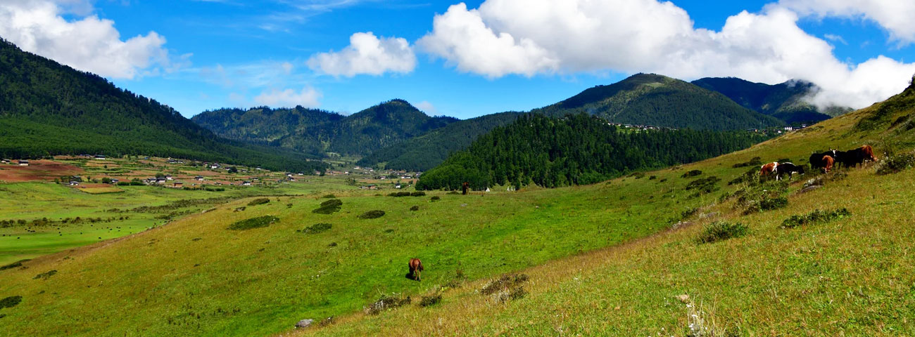 Phobjikha Valley
