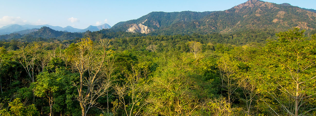 Buxa Tiger Reserve